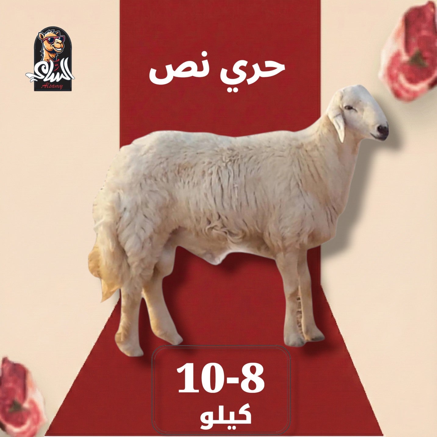 حري طازج فاخر - حري نص 8 - 10 ك