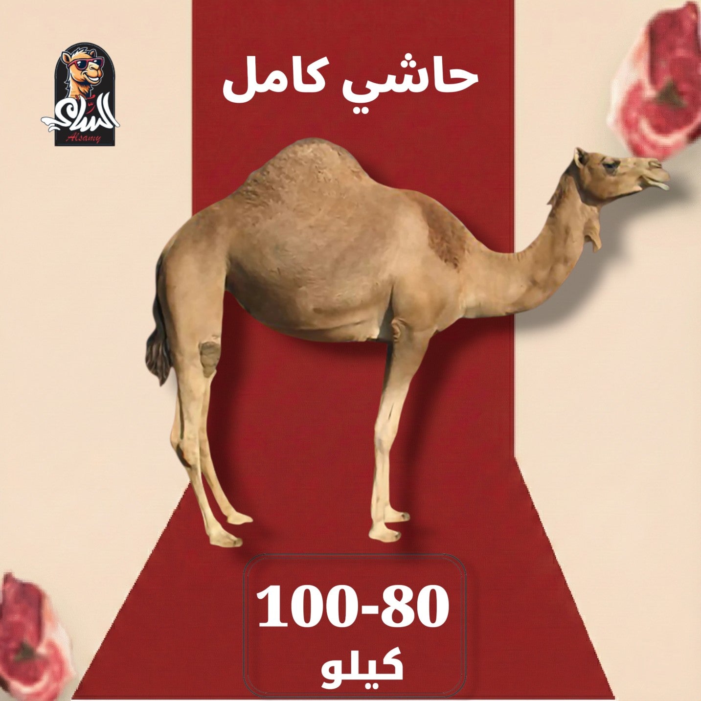 حاشي - حاشي كامل 80 - 100 ك