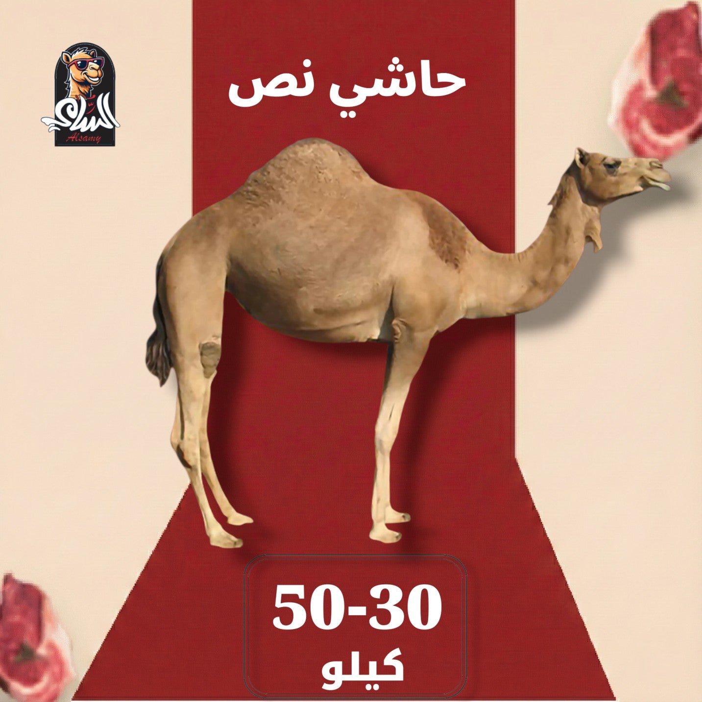 حاشي - حاشي نص 30 - 50 ك