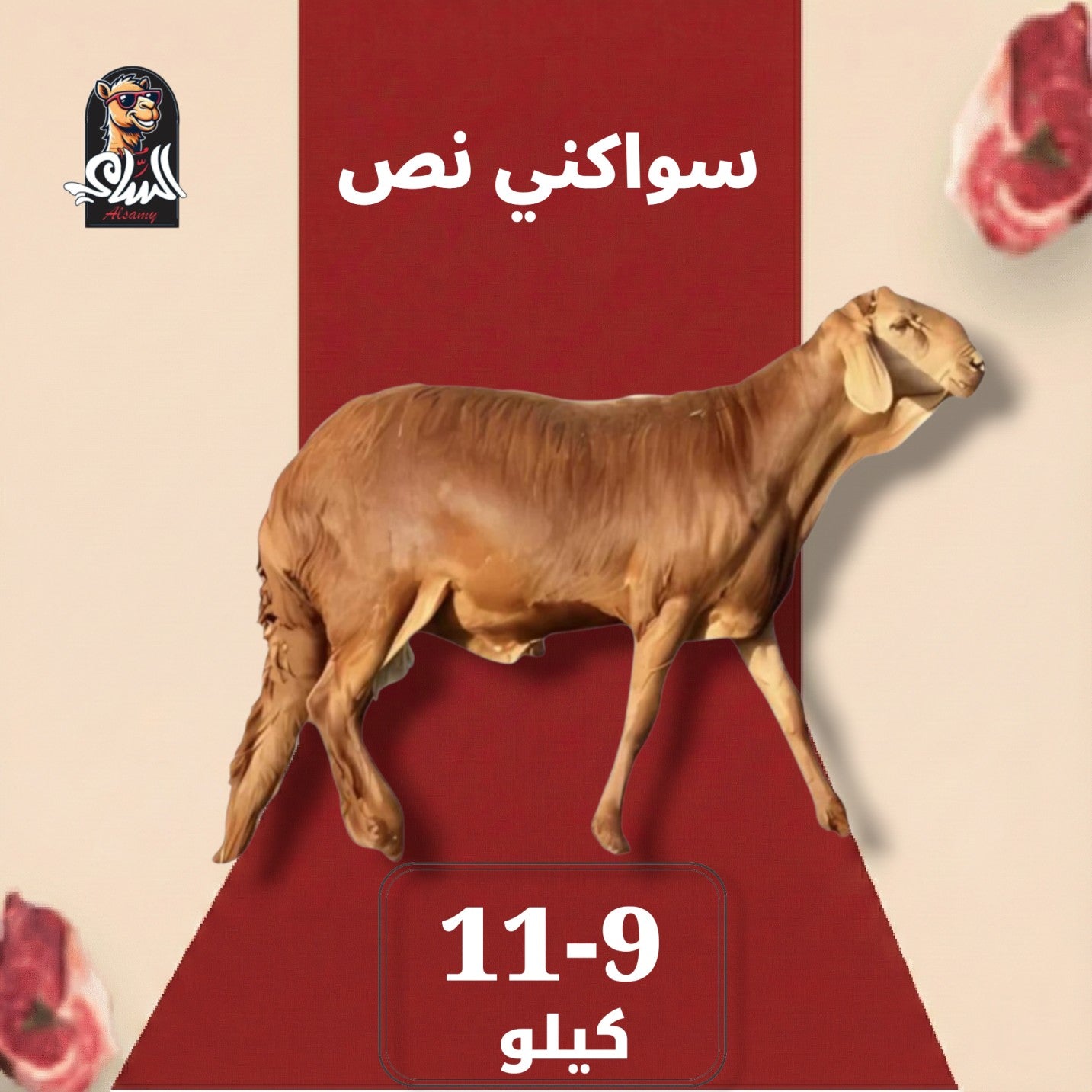 سواكني  - سواكني نص 9 - 11 ك