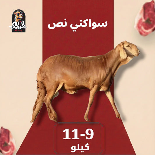 سواكني  - سواكني نص 9 - 11 ك